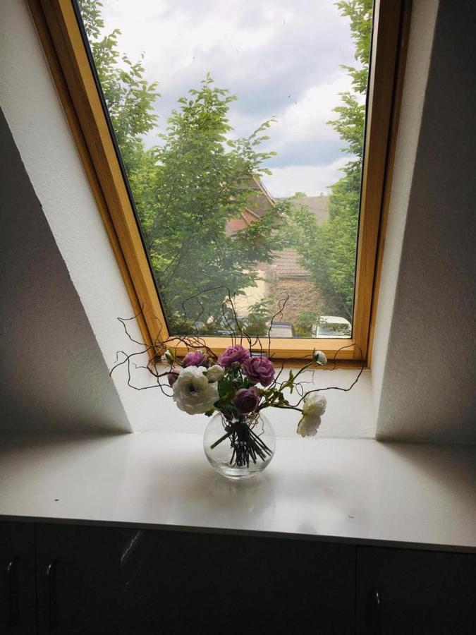 Rheingau - Schoene Moeblierte Ferienwohnung Eltville am Rhein Εξωτερικό φωτογραφία